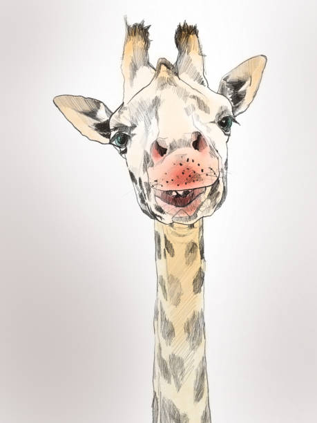 istock Giraffe painting watercolor 1005304534