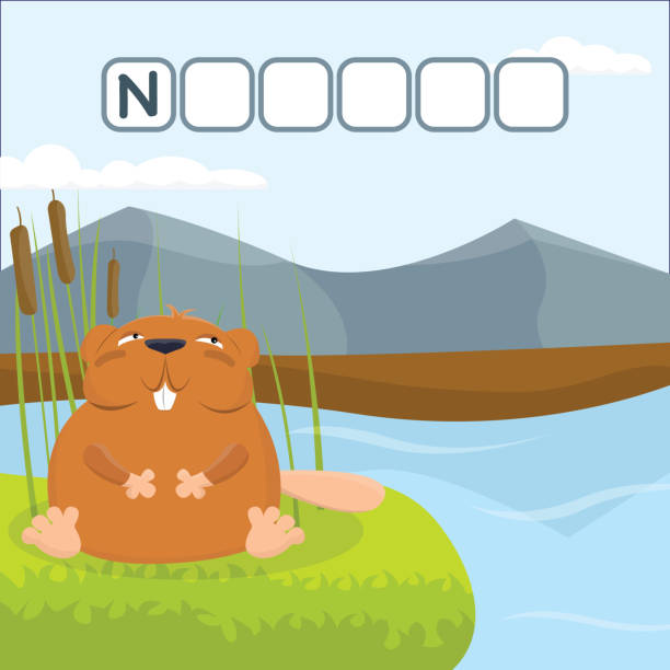 Funny crossword game with cute cartoon of nutria on the shore of the reservoir. Vector Illustration. Cute preschool education worksheet. Funny crossword game with cute cartoon of nutria on the shore of the reservoir. Vector Illustration. Cute preschool education worksheet. nutria rodent animal alphabet stock illustrations