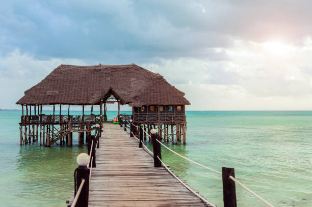 istock Jetty on the Zanzibar. Rest in the tropics 1005362492