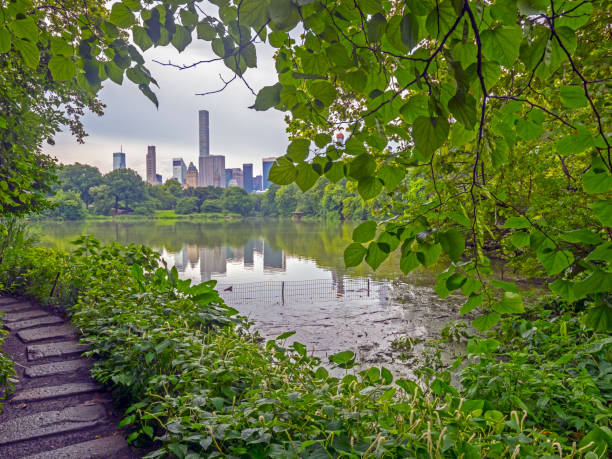 istock At the lake in summer after rain 1005362840
