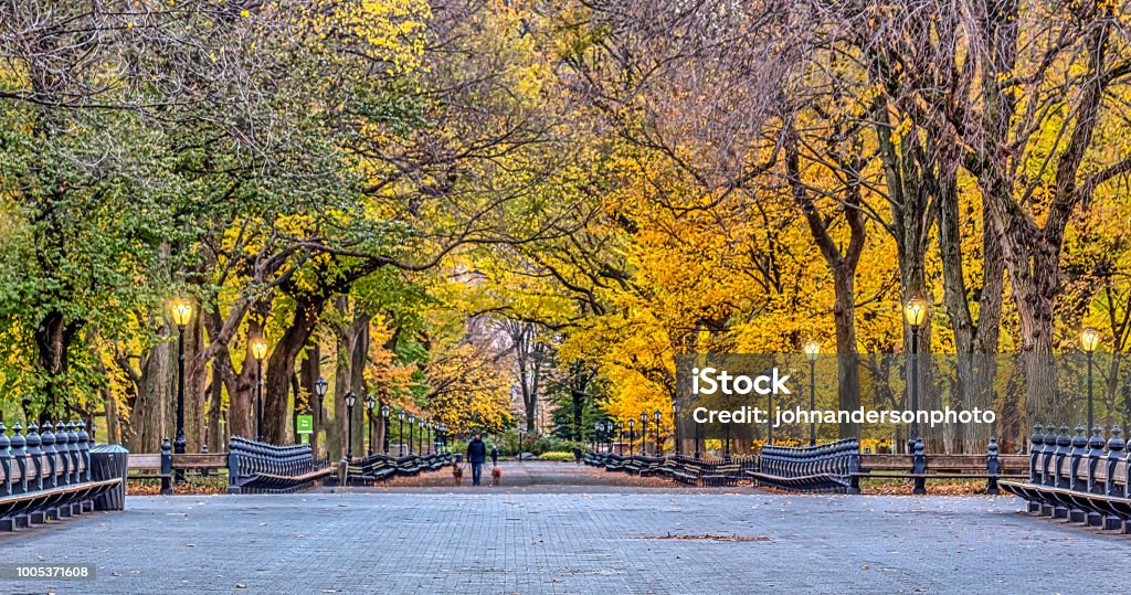 Centro comercial Parque Central - Foto de stock de Ciudad de Nueva York libre de derechos