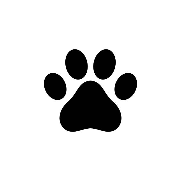 logo ikony łapy psa - one animal stock illustrations
