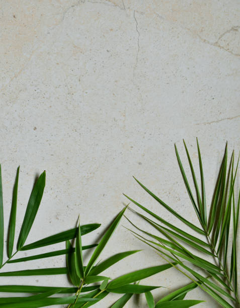 istock Creative minimal summer idea. Green leaf branches. Palm leaves. Tropical exotic background with empty space for text. Concept creative art. Flat lay, top view. 1005381036