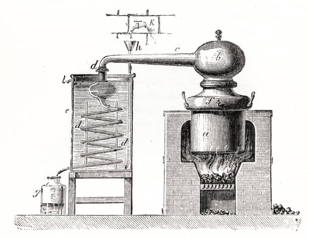 brennerei schematische - destillationsturm stock-grafiken, -clipart, -cartoons und -symbole