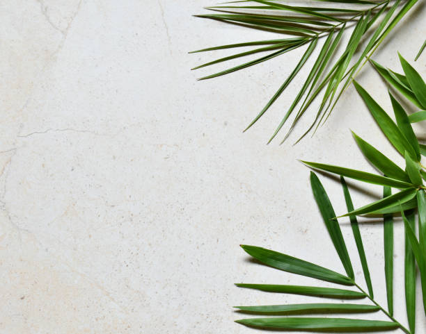 istock Creative minimal summer idea. Green leaf branches. Palm leaves. Tropical exotic background with empty space for text. Concept creative art. Flat lay, top view. 1005384444