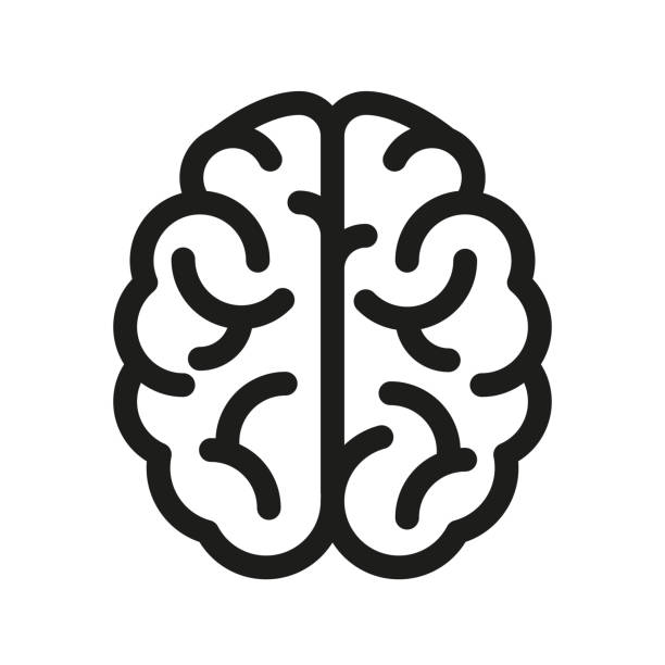 illustrations, cliparts, dessins animés et icônes de icône du cerveau humain - vecteur - cerveau humain