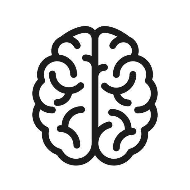 인간의 두뇌 아이콘-벡터 - 정신 건강 일러스트 stock illustrations