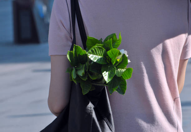 istock White Gardenia Blossom in canvas bag 1005390338