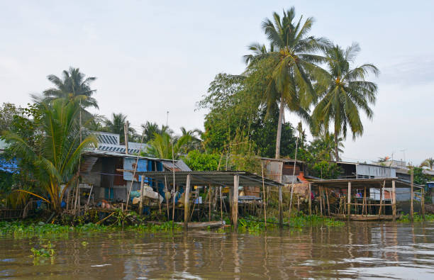istock Buildings on Can Tho Waterway 1005393182