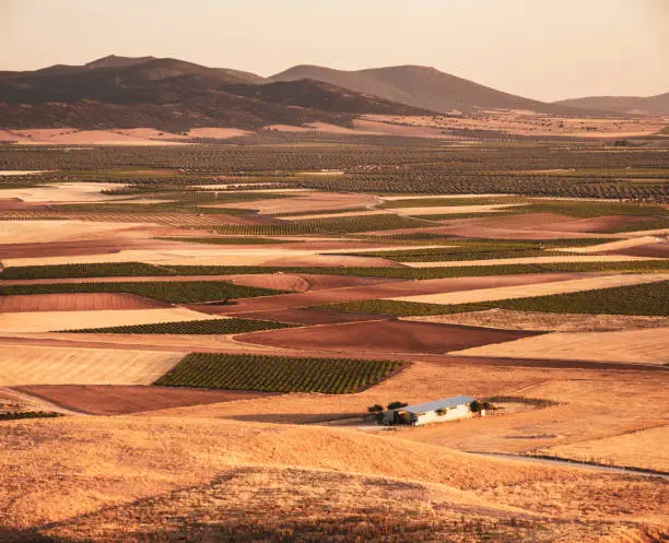 Fields at sunset in La Mancha Toledo province Spain