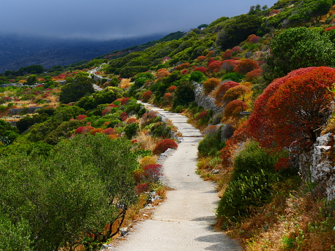 Way to the monastery of Theologos, Amorgos island, Greece