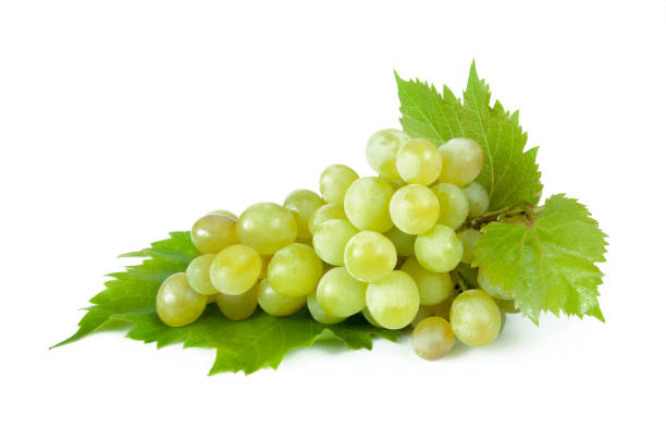 istock Fresh green grapes branch isolated on white background. 1005423204
