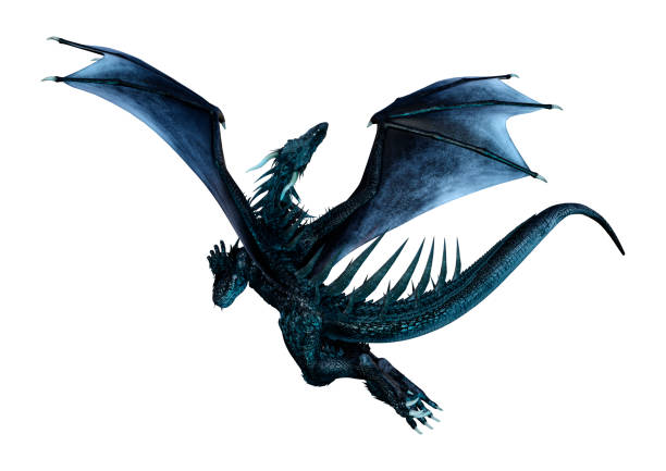 istock 3D illustration black fantasy dragon on white 1005428354