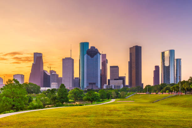 istock Houston, Texas, USA Skyline 1005431916