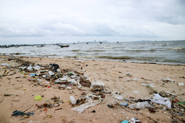 istock paper box foam plastic and waste pollution on beach 1005433028