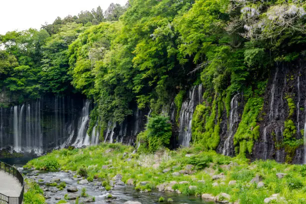 Photo of Shiraito Water Falls (Shiraito no Taki) a waterfalls of underground snow melt from Mt. Fuji springing from a lava wall popular destination located in foot of Mount Fuji Fujinomiya, Shizuoka ,Japan.