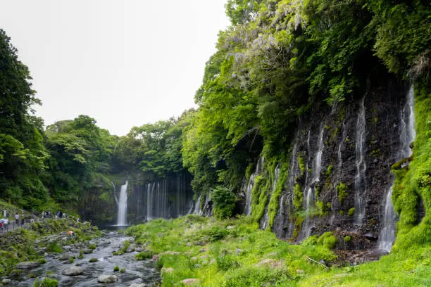 Photo of Shiraito Water Falls (Shiraito no Taki) a waterfalls of underground snow melt from Mt. Fuji springing from a lava wall popular destination located in foot of Mount Fuji Fujinomiya, Shizuoka ,Japan.