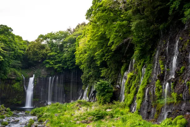 Photo of Shiraito Water Falls (Shiraito no Taki) a waterfalls of underground snow melt from Mt. Fuji springing from a lava wall popular destination located in foot of Mount Fuji Fujinomiya, Shizuoka ,Japan.