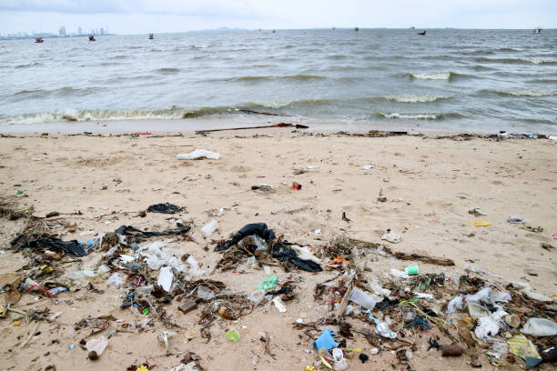 istock paper box foam plastic and waste pollution on beach 1005444602