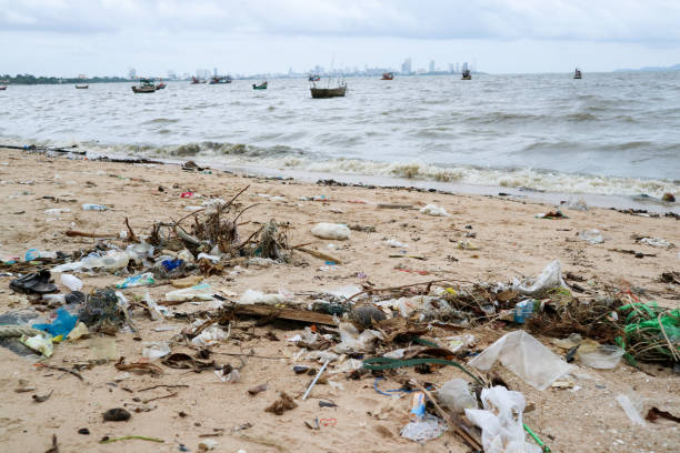 istock paper box foam plastic and waste pollution on beach 1005444890