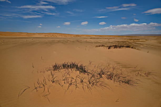 istock Giant sand dunes of the Gobi desert 1005449792