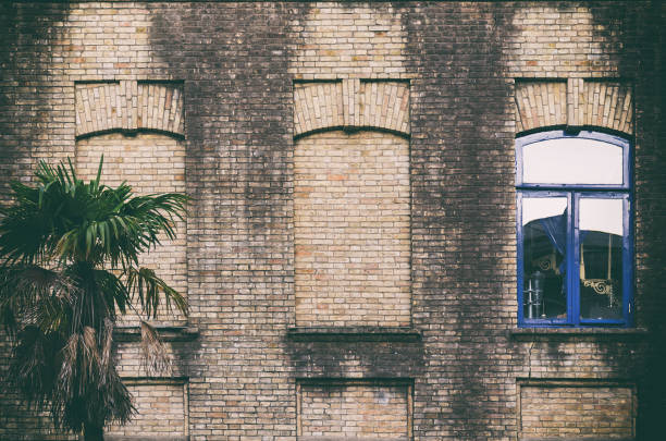 istock Old brick wall with three windows, two false, one with glass and blue color frame, small palm near building. 1005456152