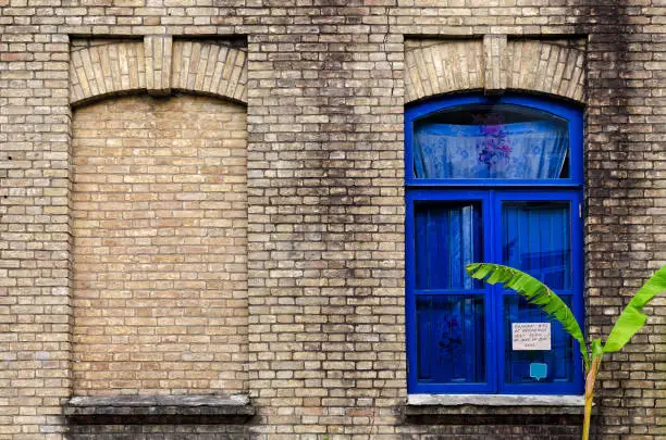 Old brick wall with two windows, one false, other with glass and blue color frame, green plant near building. Batumi, Georgia.