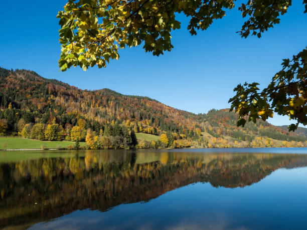 istock Lake Schliersee in Bavaria 1005456292