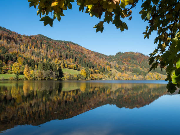 istock Lake Schliersee in Bavaria 1005456302