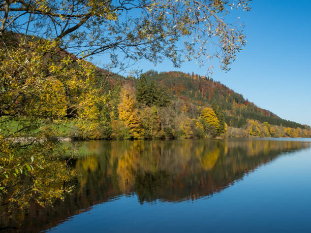 istock Lake Schliersee in Bavaria 1005456308