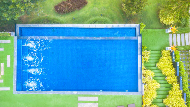 istock Top view of modern swimming pool 1005466078