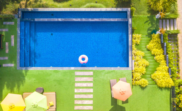 istock Top view of modern swimming pool 1005466082