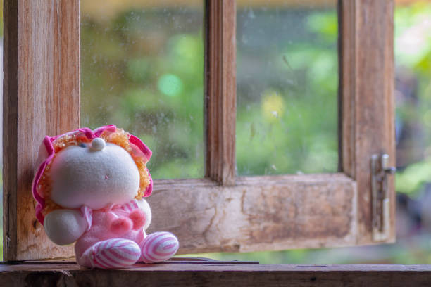 Doll girl  by the window alone .