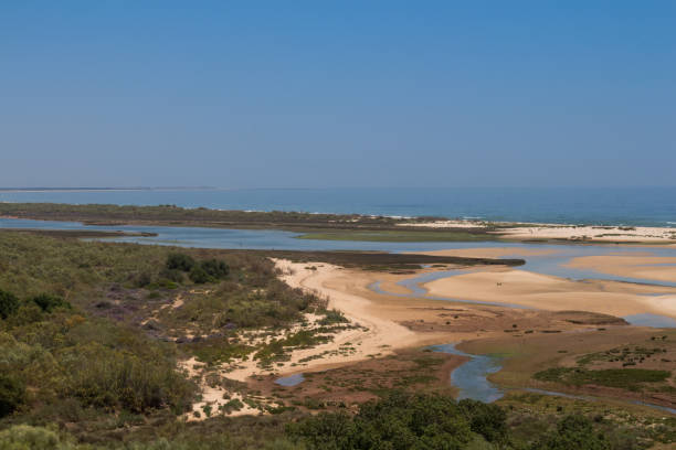 istock Sandy beach in Algarve, Portugal 1005474156