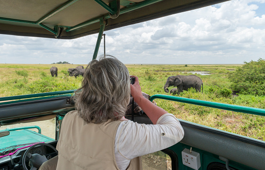 Woman in safari jeep taking picture of elephants, Africa, Serengeti national park. Camera on bean bag.