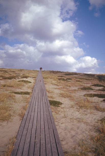 istock Footpath in the dunes of Sylt 1005480476