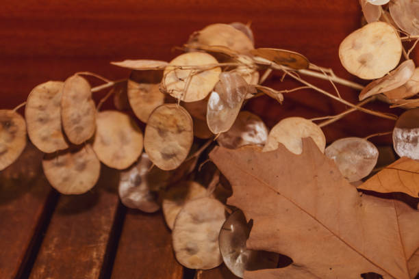 istock Autumn leaves on a wooden table 1005483842