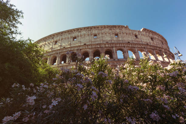 istock Colosseum in Rome, Italy. 1005499704