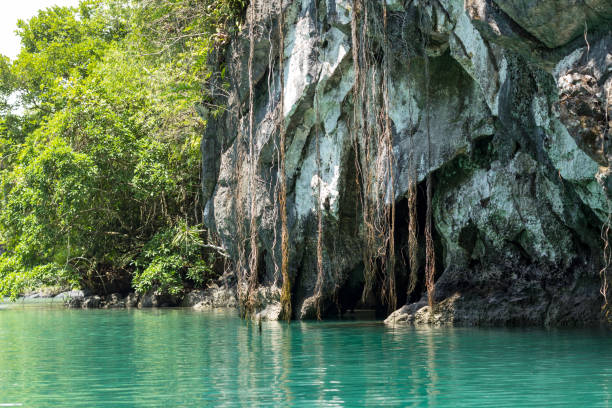 istock Overgrown rocks in Sabang 1005499712