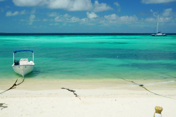 istock boat anchored on the shore 1005508156