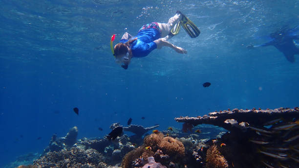 istock Snorkeling in clear tropical waters 1005513618