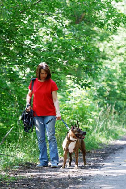 istock Woman dressed in jeans and a red Tshirt walking with a dog 1005516188