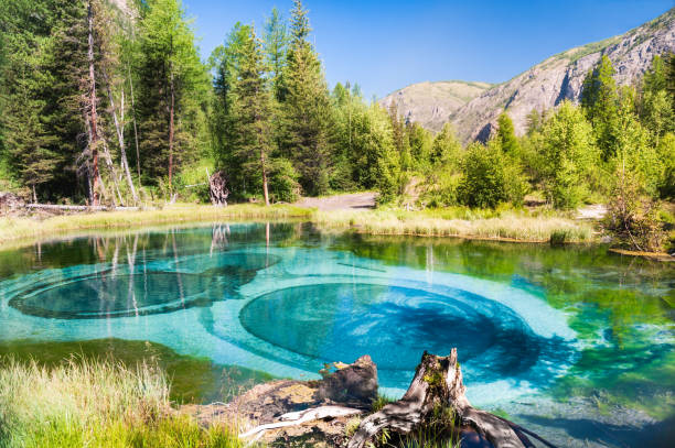 Blue geyser lake in Altai mountains, Siberia, Russia Blue geyser lake in Altai mountains, Altai Republic, Siberia, Russia altay state nature reserve stock pictures, royalty-free photos & images