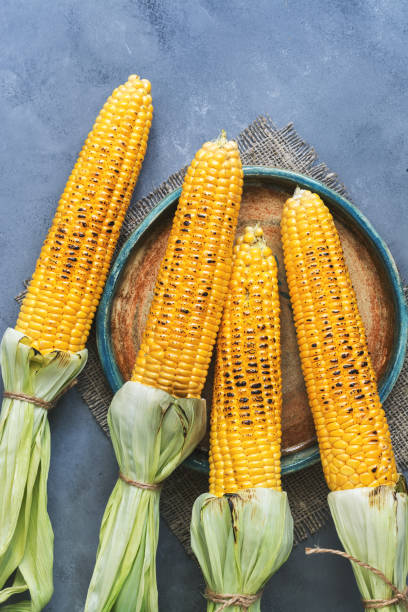 istock Roasted corn barbecue, gray background. View from above, flat lay. 1005520606