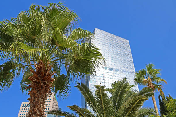istock Skyscrapers and palms in Tel Aviv, Israel 1005523610