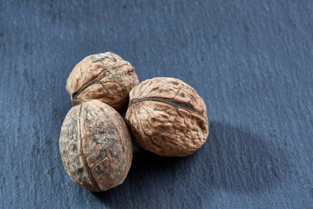 istock A stack of walnuts piled together and isolated on dark background, shallow depth of field, selective focus 1005523968