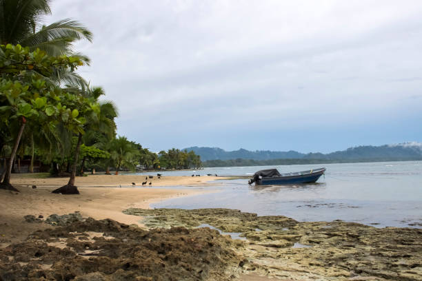 istock Beach sunrise with sand sea palm trees and one blue boat 1005529236
