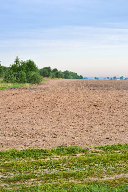 istock Freshly Plowed Field In Spring Ready For Cultivation. Spring landscape in the countryside with fields against the sky. Agriculture and farming 1005529400