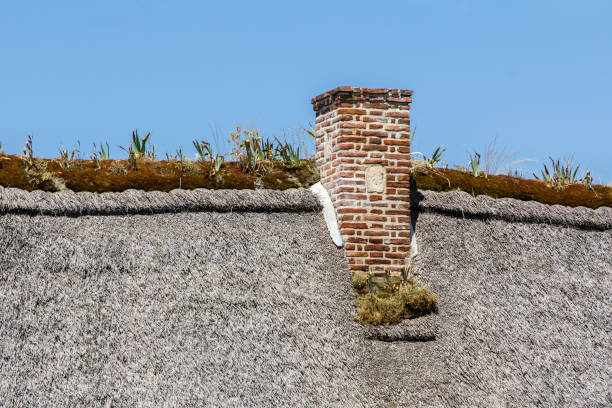 istock traditional thatched cottages in Normandy 1005529774