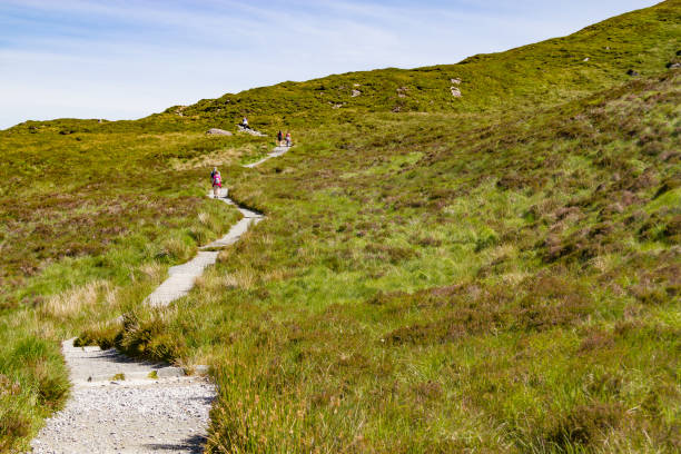 istock Diamond Hill trail in Letterfrack 1005545874